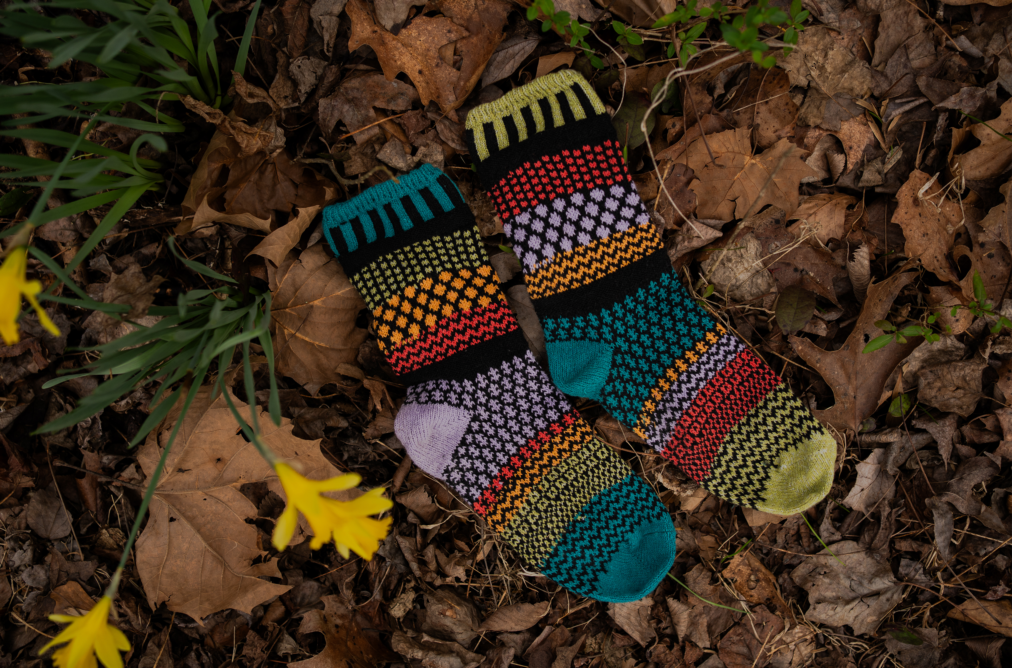 Humktnn| Artichoke Crew Socks - A Stylish Burst of Color for Spring