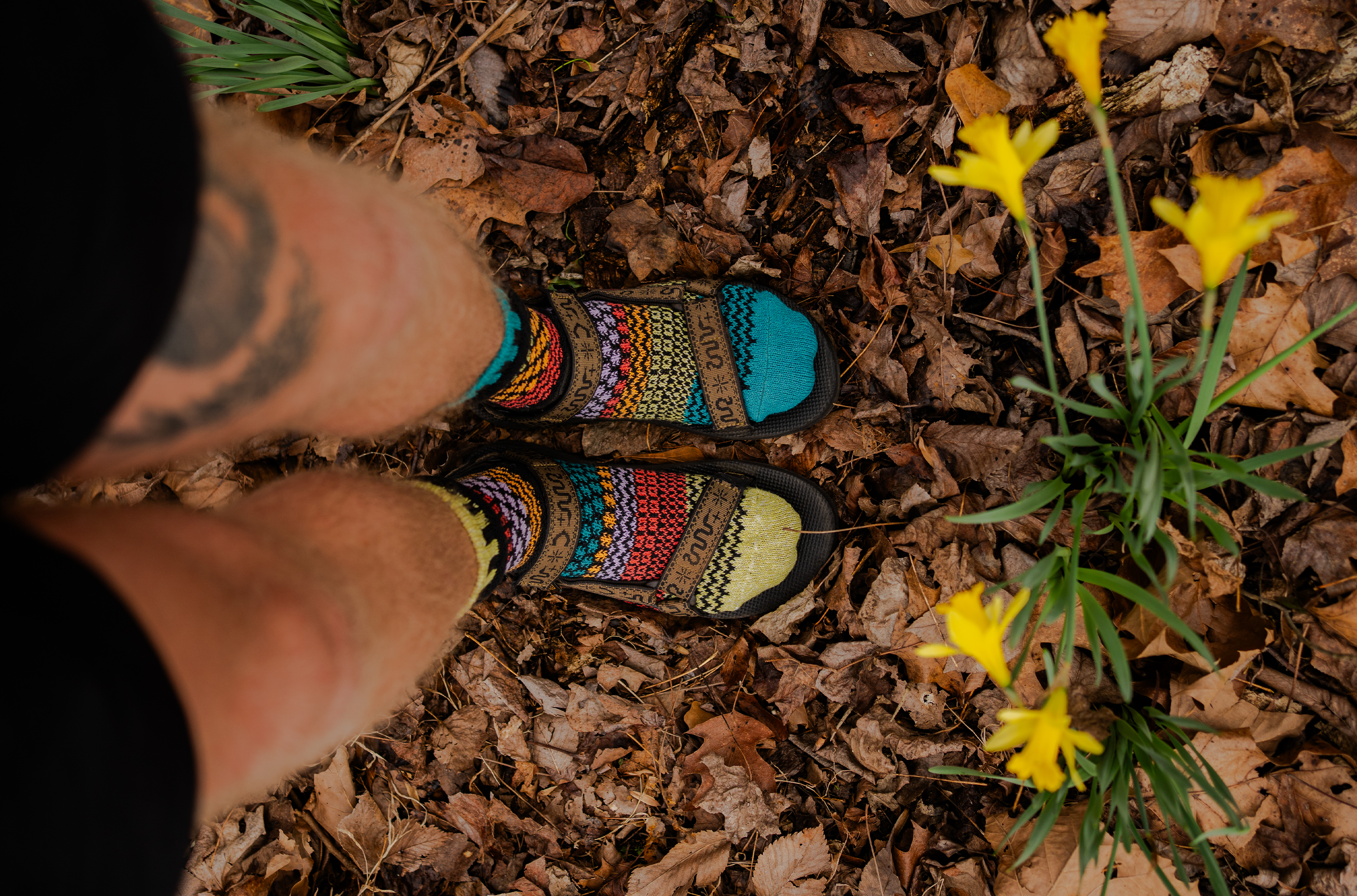 Humktnn| Artichoke Crew Socks - A Stylish Burst of Color for Spring