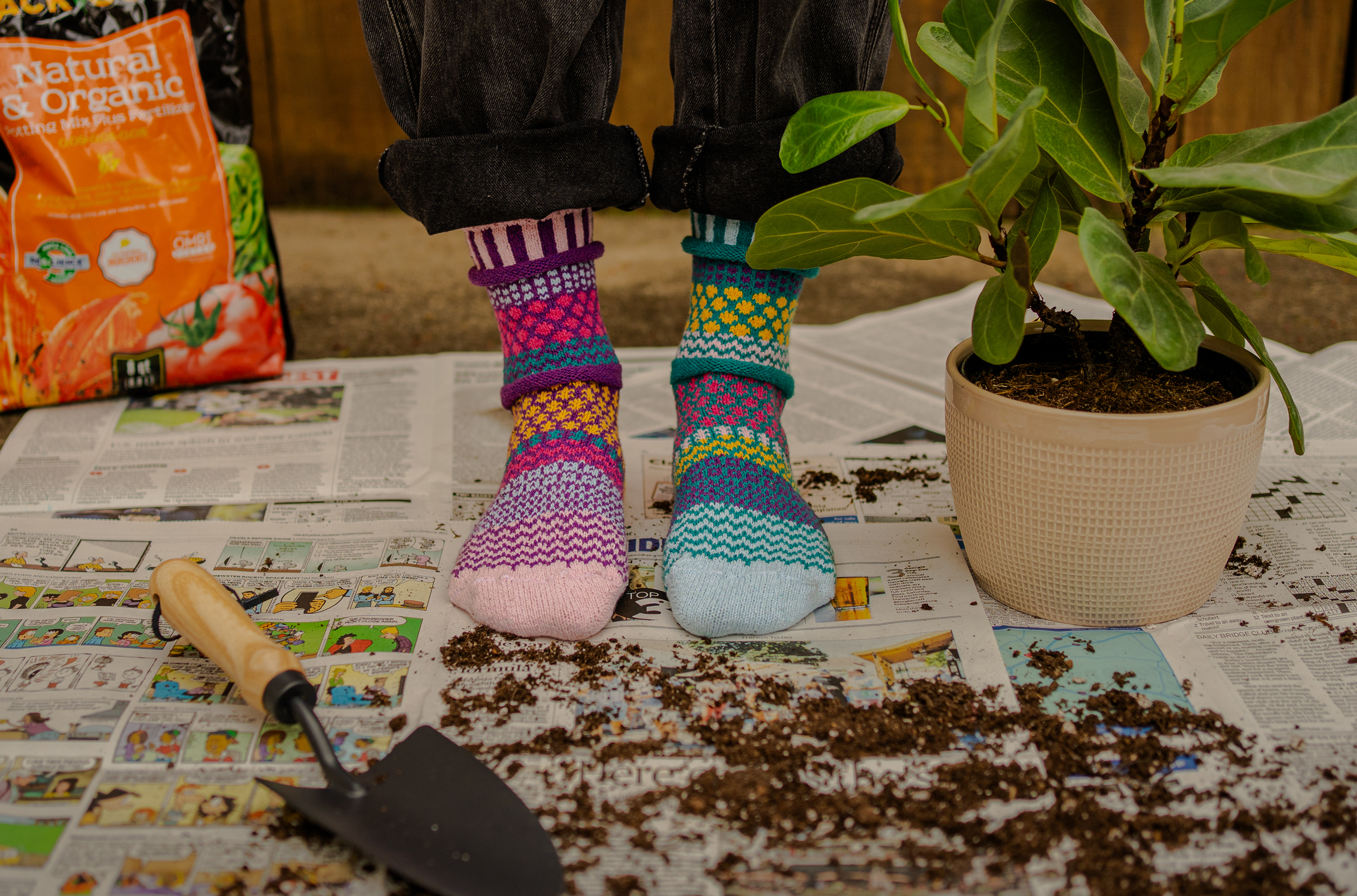 Humktnn| Petunia Crew Socks - A Colorful Burst of Spring Joy
