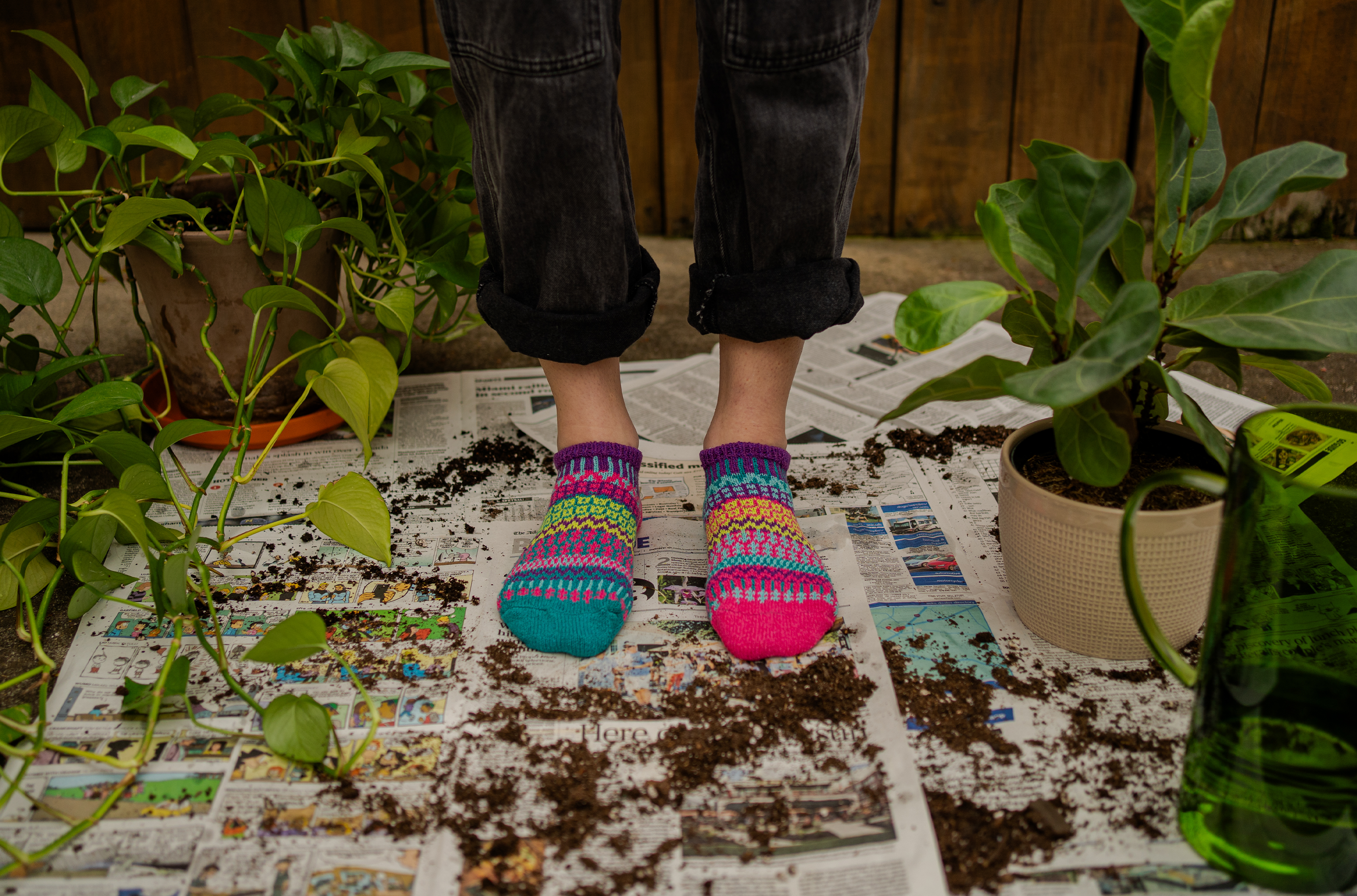 Humktnn| Morning Glory Ankle Socks - Fresh, Stylish Comfort for Every Step